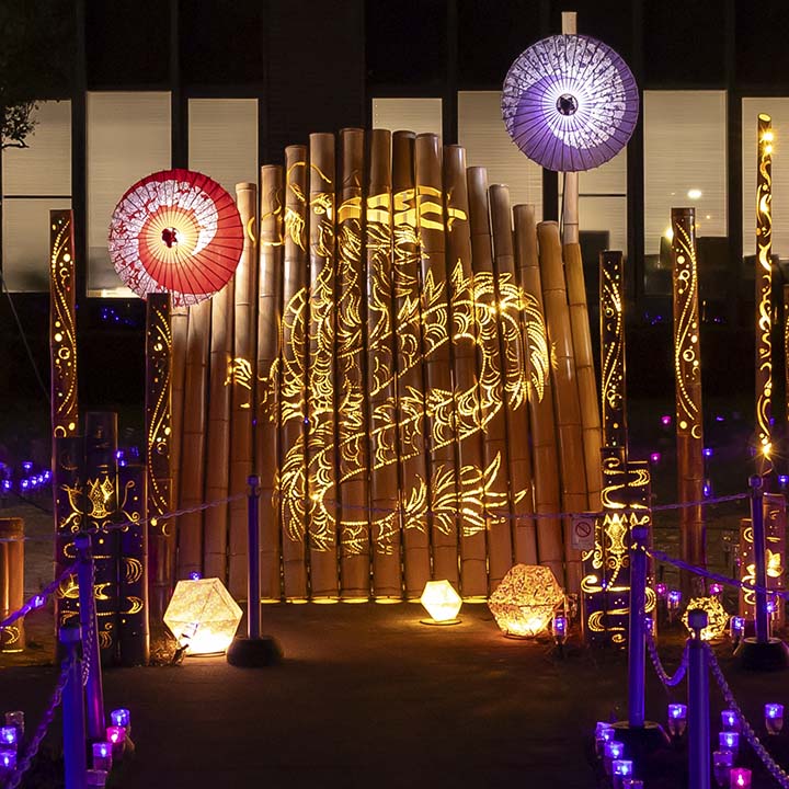 和傘 ライトアップ イメージ画像 SP版